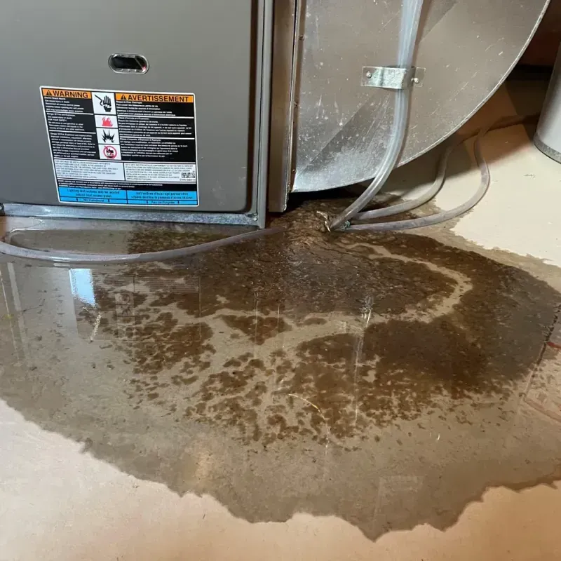 Appliance Leak Cleanup in Hebron, KY